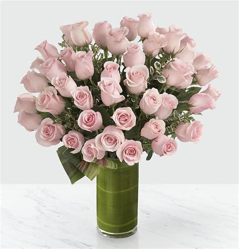 Delighted Luxury Rose Bouquet - 48 Premium Long-Stemmed Roses in ...