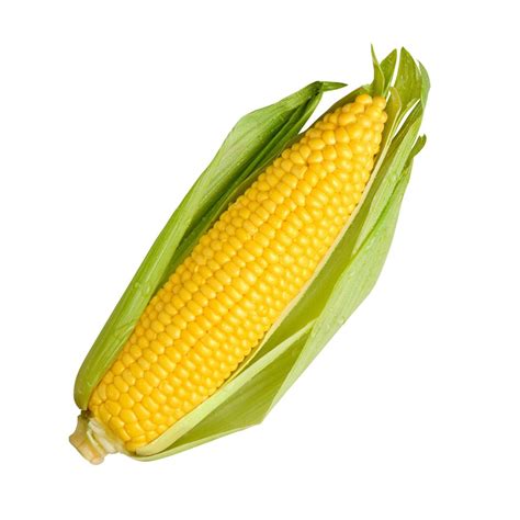 Sweet corn – Labidino