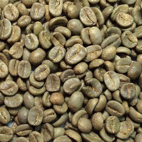 Fresh Roasted Coffee LLC, Green Unroasted Costa Rica Tarrazu Coffee Beans, Bulk 25 Pound Bag ...