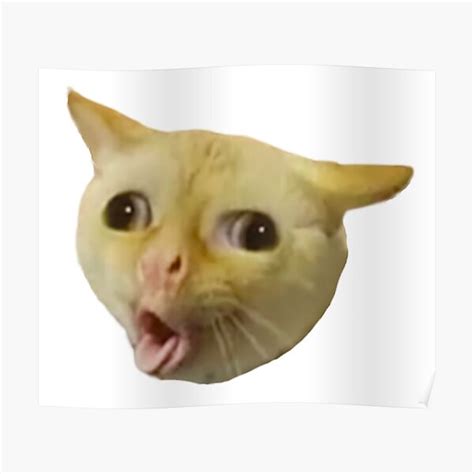 "Funny Cat Coughing Meme" Poster for Sale by fomodesigns | Redbubble