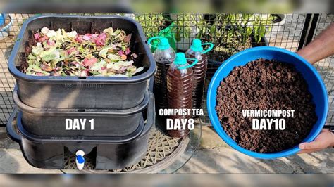 How To Make DIY Compost In Just 10 Days