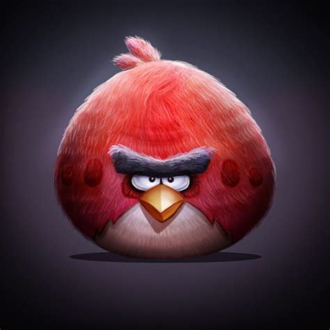 Make Your Own Angry Bird Fan Art With Photoshop | Игры, Птички, Фан арт