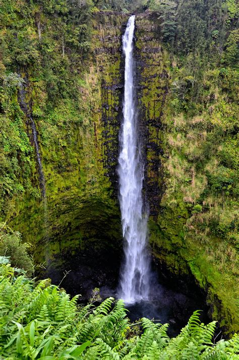 ‘Akaka Falls State Park near Honomu, Island of Hawaii, Hawaii - Encircle Photos