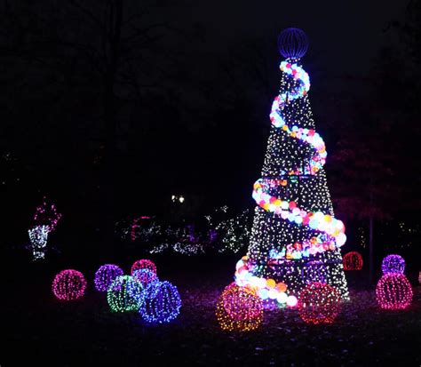 5 Reasons Why the Cincinnati Zoo Festival of Lights is the Perfect Holiday Outing · 365 CINCINNATI