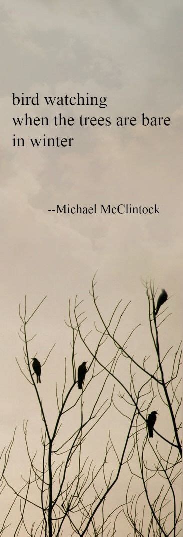 Haiku poem: bird watching -- by Michael McClintock. Haiku Poetry ...