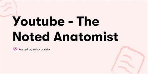 Youtube - The Noted Anatomist — mitocondria