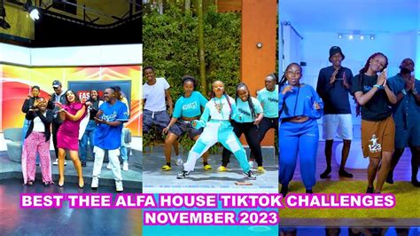 Best of Thee Alfa House Tiktok Challenges November 2023 #trending # ...