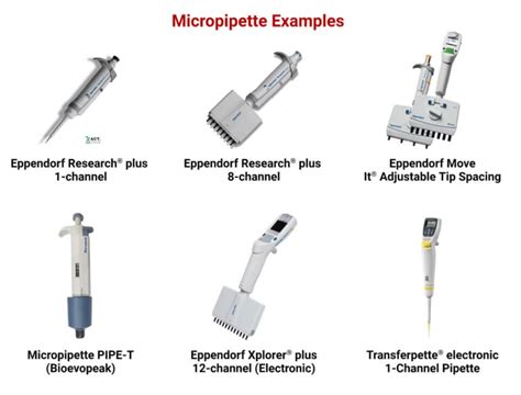 Micropipette: Types, Parts, Working, Uses, 5 Examples