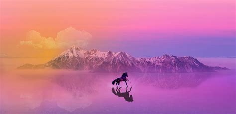 Horse Sunset Wallpapers - 4k, HD Horse Sunset Backgrounds on WallpaperBat