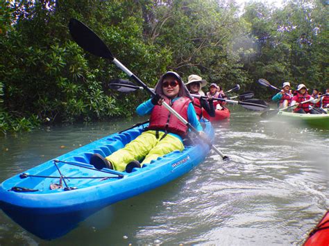 Mangrove Kayaking - 2019 - Dads@CHS