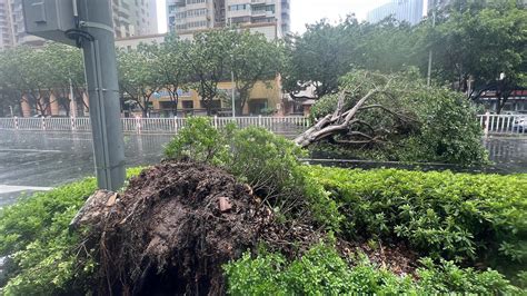 Super Typhoon Doksuri makes landfall in SE China's Fujian - CGTN