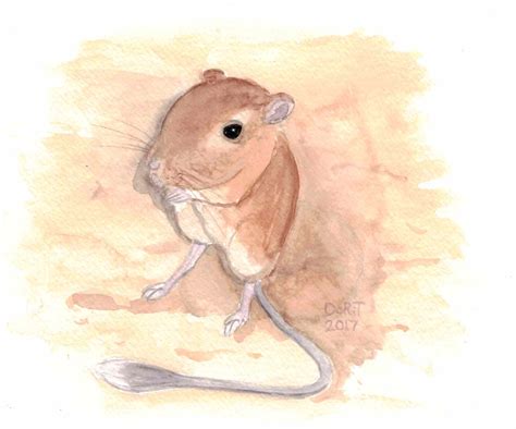 Feeling Cartoonistic: Watercolor Rodents #2: Kangaroo Rat