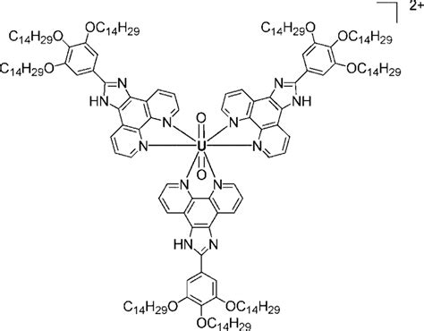 Overview of the different types of metal complexes, with ligand LXI as ...