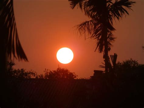 Free Images : sun, light, afterglow, overhead power line, electricity, sunrise, red sky at ...