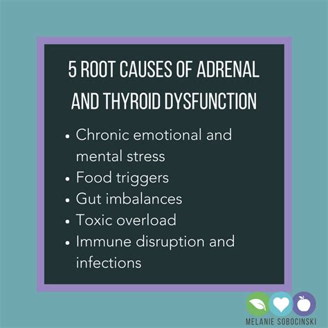 » 5 Root Causes of Adrenal and Thyroid Dysfunction