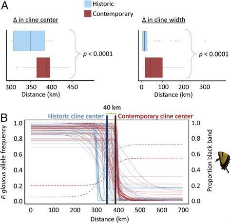 Climate-mediated hybrid zone movement revealed with genomics, museum ...