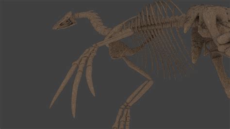 3D Therizinosaurus Skeleton Model - TurboSquid 1192584