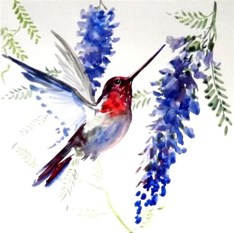 Hummingbird Original watercolor painting 12 X 12 by ORIGINALONLY