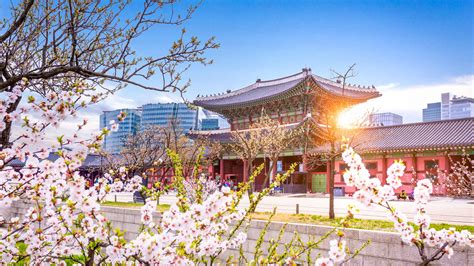 The BEST South Korea Tours and Things to Do in 2022 - FREE Cancellation ...