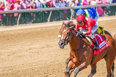 Top 20 Contenders For The 2024 Kentucky Derby Winner - Toby Aeriell