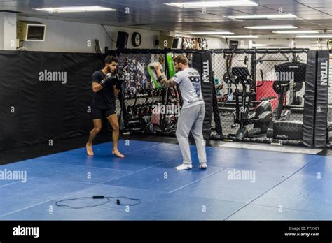 MMA fighter training Stock Photo - Alamy