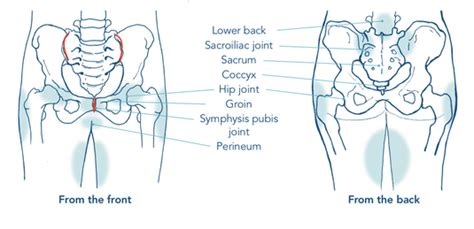 Pelvic Girdle Pain - Holistic Health Physio