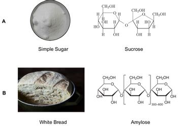 Aldose vs. Ketose | Differences, Structure & Examples - Lesson | Study.com