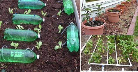 18 DIY Drip Watering Systems for the Garden | Balcony Garden Web