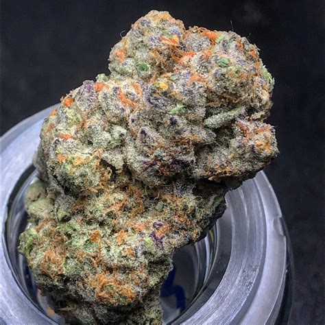 Love Cannabis – Runtz – CaliSeedStore®