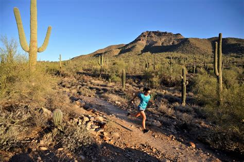 The 10 Best Family-Friendly Activities in Mesa