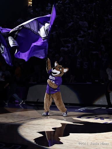 Images and Places, Pictures and Info: grand canyon university mascot