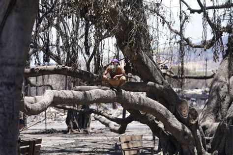 Photos From Lahaina, After the Fire - The Atlantic