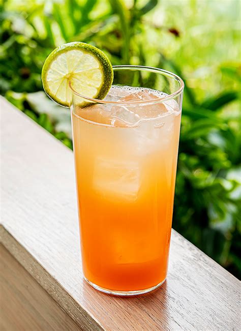 Lemon-Lime & Bitters Cocktail Recipe | PUNCH