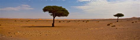 Desertification - How Big a Problem is Desertification? | Young People's Trust For the Environment