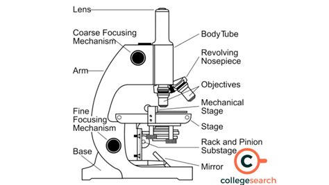 Simple Microscope: Inventions, Parts, Principles, Magnification, Image ...