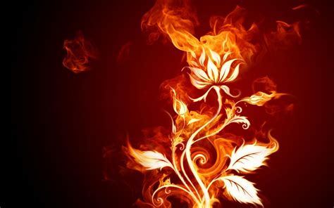 Fire wallpaper | 1680x1050 | #39757