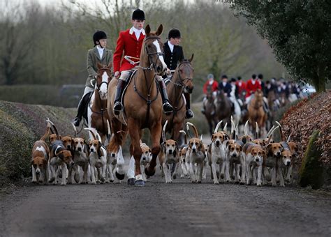 Fox hunting change vote cancelled following SNP U-turn