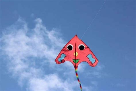 Chinese Kite, Chinese Kite Festival, Weifang Kite, China Kite Tour ...