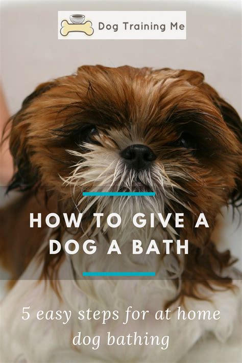 5 easy steps to giving your dog a bath at home. We give you some tips on how to make it more ...