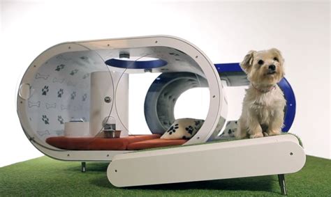 luxury samsung dream doghouse exhibited at the 2015 crufts show