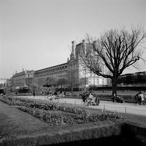 Jardin des Tuileries | Nicolas Vigier | Flickr