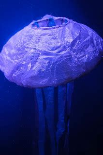 Jelly Fish Skin | Sea Life Centre | Dave Straven | Flickr