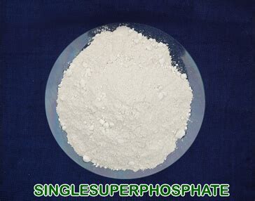 Super Phosphate - The Andhra Sugars Ltd - Sugar Manufacturer, Chemicals Manufacturer