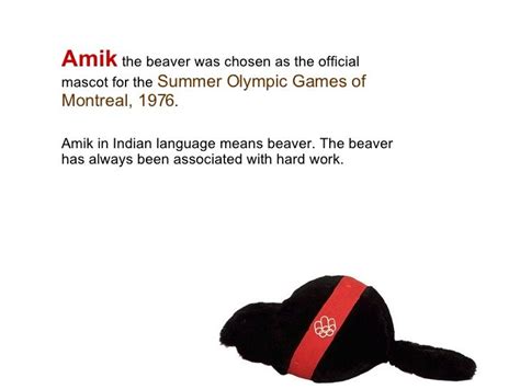 Amik the beaver was chosen