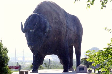 Jamestown, ND: World’s Largest Buffalo Monument - “Dakota Thunder” · Road Trip Attractions