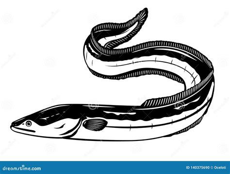 European Eel Drawing - Download this premium vector about drawing of an ...