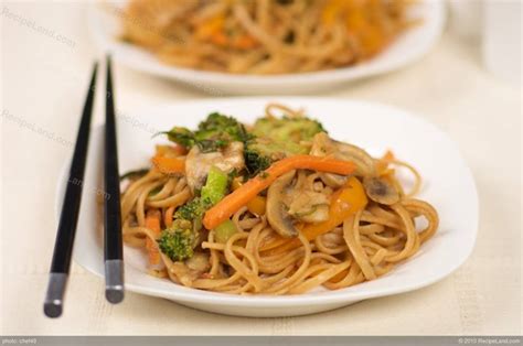 Chinese Stir-fry Noodles with Fresh Vegetables Recipe