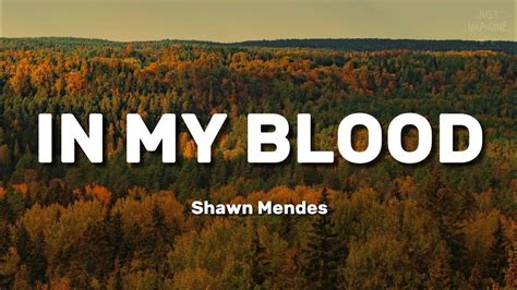 In My Blood | Shawn Mendes | lyrics - YouTube