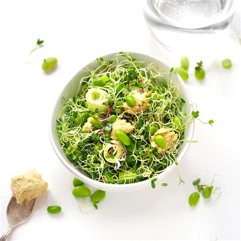 Recipes with sprouts of all tastes, colours and varieties for your food