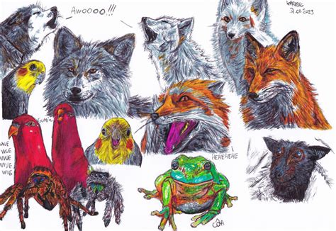 Drawing of my favorite animals! by KaradegRara on DeviantArt